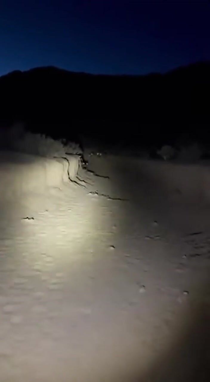Night in the wild: AI-generated film still