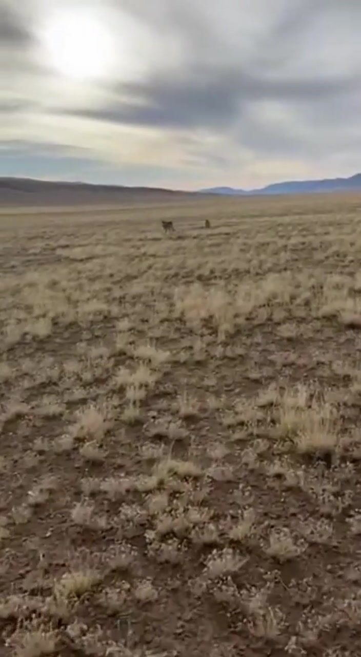 Open plains landscape: AI-generated film still