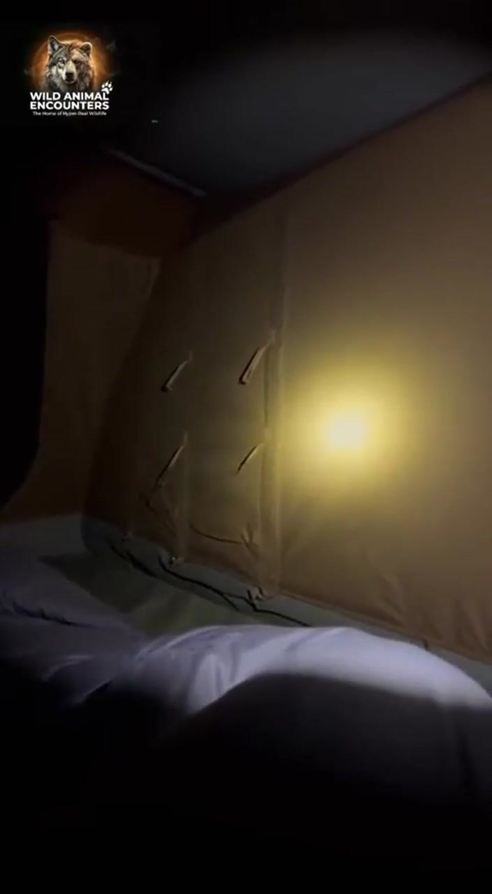 Lioness in the dark: AI-generated film still